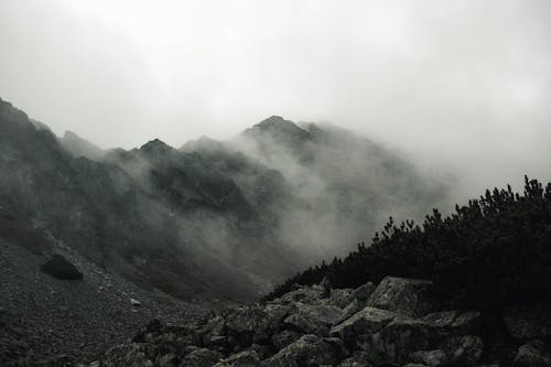 Silent inner strength misty mountains